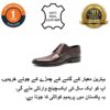 Bedford Shoes BR 001