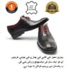 Genuine Cow Leather Shoes
